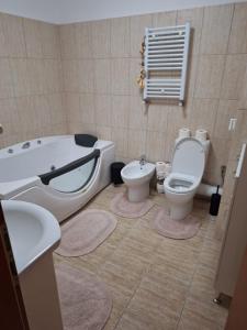 锡比乌Apartament Casa Dia的带浴缸、卫生间和盥洗盆的浴室