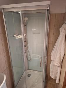 锡比乌Apartament Casa Dia的浴室里设有玻璃门淋浴