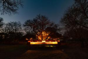 侯斯普瑞特Tomo Safari Lodge的夜间有树木和灯光照明的公园