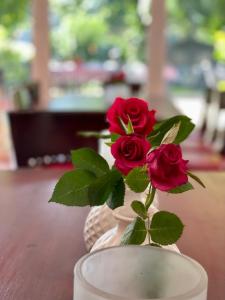 巴特洪内夫Hotel Weinhaus Hoff的一张桌子上装有红玫瑰的花瓶
