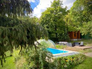大毛罗什Gesztenyés Ház的花园中带游泳池的房子
