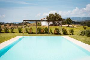 加尔泰利Auberge Santu Martine - Cottage with Pool - Ischierda的一个带凉棚的庭院内的游泳池