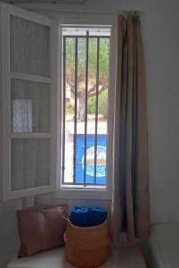 普拉卡米洛斯Georgia Rooms Milos的享有游泳池景致的窗户