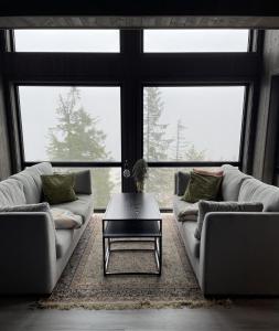伯Stylish cabin at Lifjell with jacuzzi and sauna的客厅配有两张沙发和一张咖啡桌