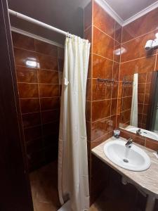 基辅118 apartments的浴室配有淋浴帘和盥洗盆。