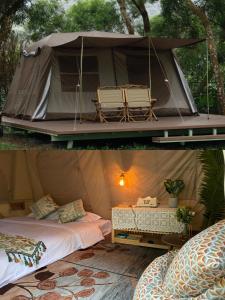 深圳NatureLand望桐露营地的两张带床和椅子的帐篷照片