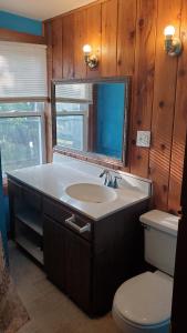 明尼阿波利斯Ana Maria del Azul的一间带水槽、卫生间和镜子的浴室
