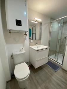 马诺斯克Appartement loft terracotta的浴室配有卫生间、盥洗盆和淋浴。