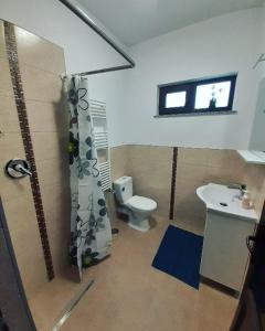 沃拉内特Bucovina Inn的一间带卫生间和水槽的浴室