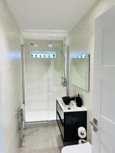 MarkinchStar Scape的带淋浴、盥洗盆和卫生间的浴室