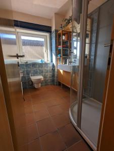 Stelle"Buena Vista" Ashausen/Hamburg的带淋浴、卫生间和盥洗盆的浴室