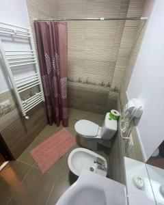 沃拉内特Bucovina Inn的一间带卫生间和淋浴的小浴室