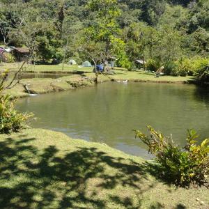 卡利Sapiens house "cabaña del lago"的树底下有水体