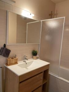 克莱蒙费朗Studio Bd Joseph Girod Clermont Centre的浴室配有盥洗盆和带镜子的淋浴