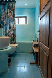 瓦克斯霍尔姆瓦克斯霍姆公寓的蓝色的浴室设有水槽和卫生间