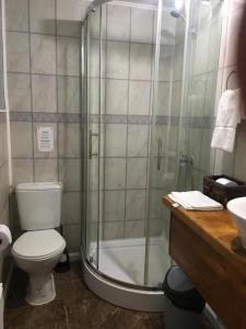纳塔列斯港Xalpen B&B的带淋浴、卫生间和盥洗盆的浴室