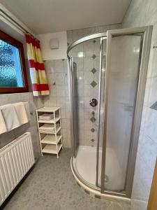 米德尔斯Haus Saxer的带淋浴的浴室和玻璃淋浴间
