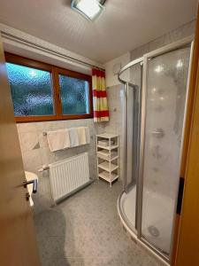 米德尔斯Haus Saxer的带淋浴和步入式淋浴间的浴室