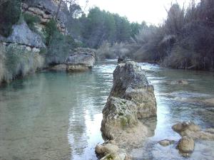 AlboreaHostal Artiga的河里有大块岩石