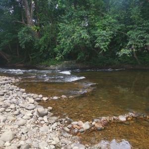 话毛生Homestay Saujana Harmoni D'Petron的一条有岩石和树木的河流