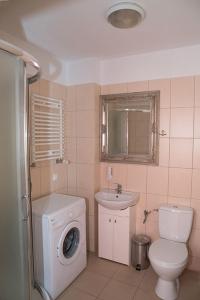 普沃茨克Apartamenty Optimal的浴室配有卫生间、盥洗盆和洗衣机。