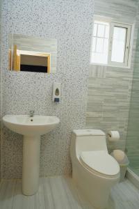 圣多明各HOSTAL BOUTIQUE 53的浴室配有白色卫生间和盥洗盆。