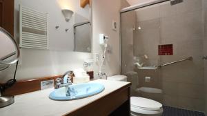 圣克里斯托瓦尔-德拉斯卡萨斯Hotel Casa de Familia de San Cristobal的一间带水槽、卫生间和淋浴的浴室