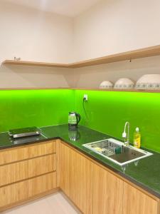 胡志明市Quân's homestay的厨房里设有绿色的墙壁和水槽