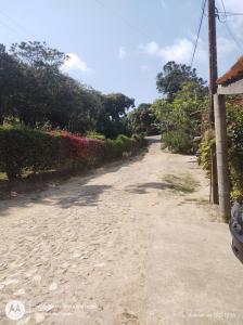 瓜拉米兰加Suíte GUARAMIRANGA no Sítio的一条有灌木和树木的空土路
