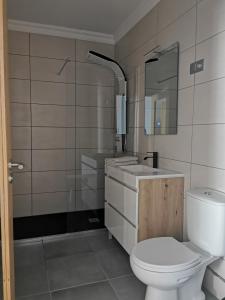 福什科阿新镇A Flor da Rosa的一间带卫生间、水槽和镜子的浴室
