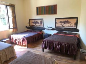 伊察瓦卡奇纳夕阳旅馆的客房设有两张床和窗户。