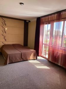 班斯科Iglika Bansko的一间卧室设有一张床和一个大窗户