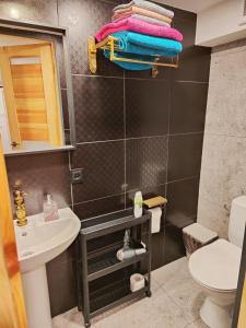 维尔纽斯Apartment hotels parking akaciju1的一间带水槽和卫生间的浴室