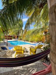 克拉伦代克Oasis guesthouse, Boutique Style Hotel的游泳池旁的吊床和椅子