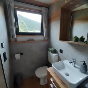拉德施塔特Tiny House am Steinergut的一间带卫生间、水槽和窗户的浴室