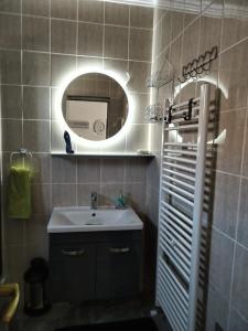GarešnicaApartmani Jozić的一间带水槽和镜子的浴室