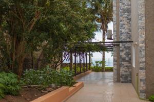 Cidade VelhaCidade Paradise Guesthouse的树木和植物的建筑的走道