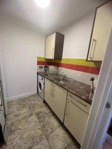 莱斯特Newly furnished Apartment, Leicester City Centre的厨房配有水槽和洗衣机