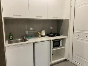 科洛皮奥Leo's Apartments的厨房配有白色橱柜、水槽和微波炉
