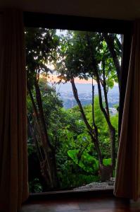 危地马拉CABAÑAS EN ZONA 16的享有森林景致的窗户