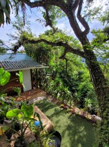 危地马拉CABAÑAS EN ZONA 16的一座花园,花园内有小房子和一棵树