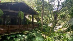 彼得罗波利斯Casa com cachoeira e rio particular的森林中的小木屋