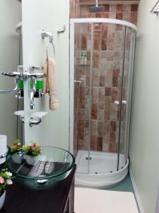 莱蒂西亚AMAZONAS EXPLORERS LETICIA的一间带玻璃水槽和淋浴的浴室