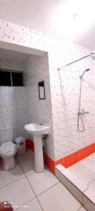 阿里卡Hostal 921 apocento的一间带卫生间和水槽的浴室
