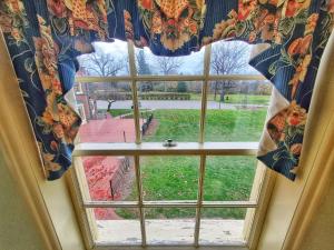 萨吉诺Montague Inn Bed & Breakfast的享有庭院景致的窗户