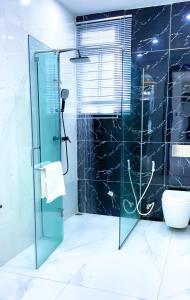 阿库雷Contemporary 4-Bedroom Villa with VR Room and Starlink Internet - Ifemide Estates的一间带玻璃淋浴和卫生间的浴室