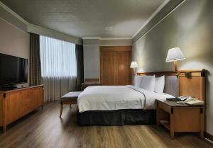 新竹卡尔登饭店 the Carlton的配有一张床和一台平面电视的酒店客房