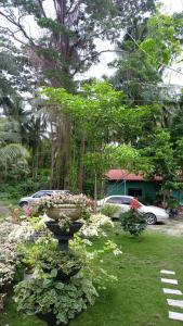 桑坦德Melbas Homestyle Resort & SPA的院子内花瓶的花园