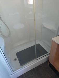 滨海克拉克顿Kingfisher Quay Lodge的浴室里设有玻璃门淋浴