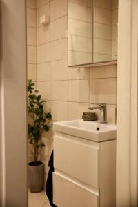 奥斯陆Stylish 3-room apartment with balcony and free parking的一间带水槽和盆栽植物的浴室
